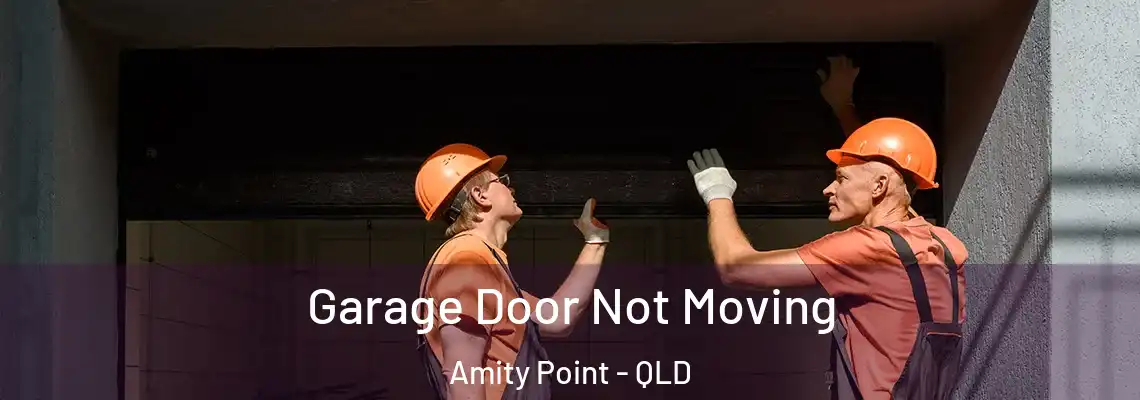 Garage Door Not Moving Amity Point - QLD