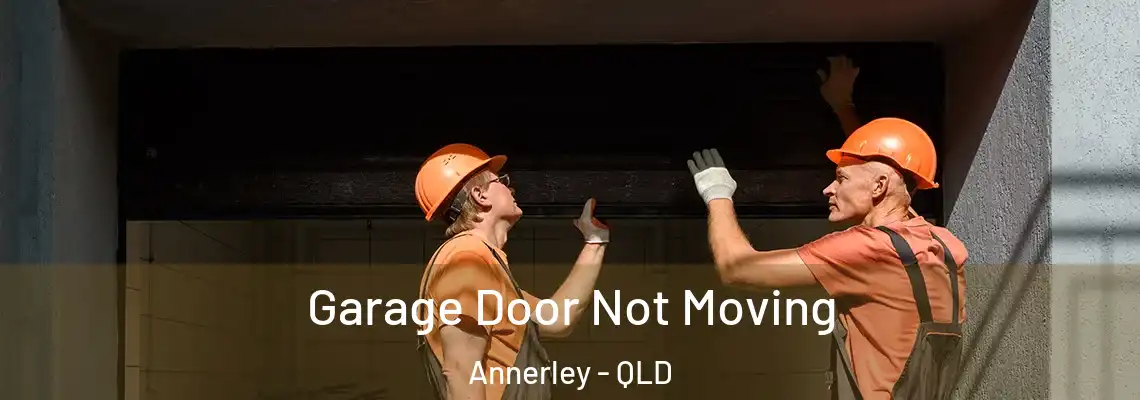  Garage Door Not Moving Annerley - QLD