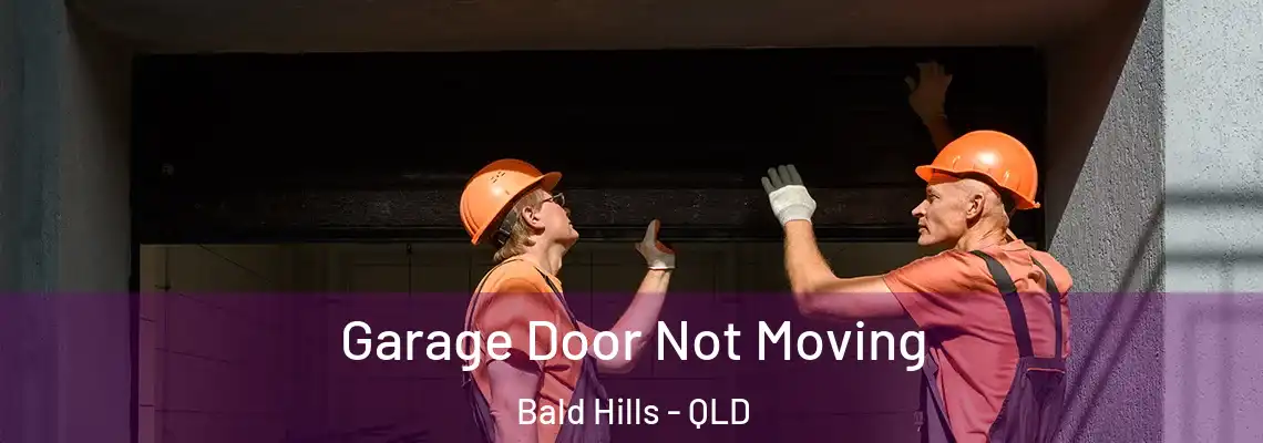  Garage Door Not Moving Bald Hills - QLD