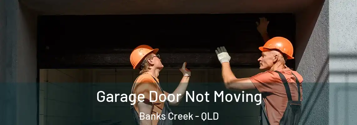 Garage Door Not Moving Banks Creek - QLD