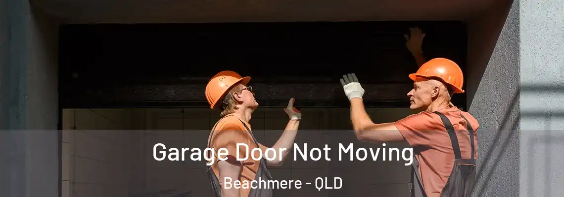  Garage Door Not Moving Beachmere - QLD
