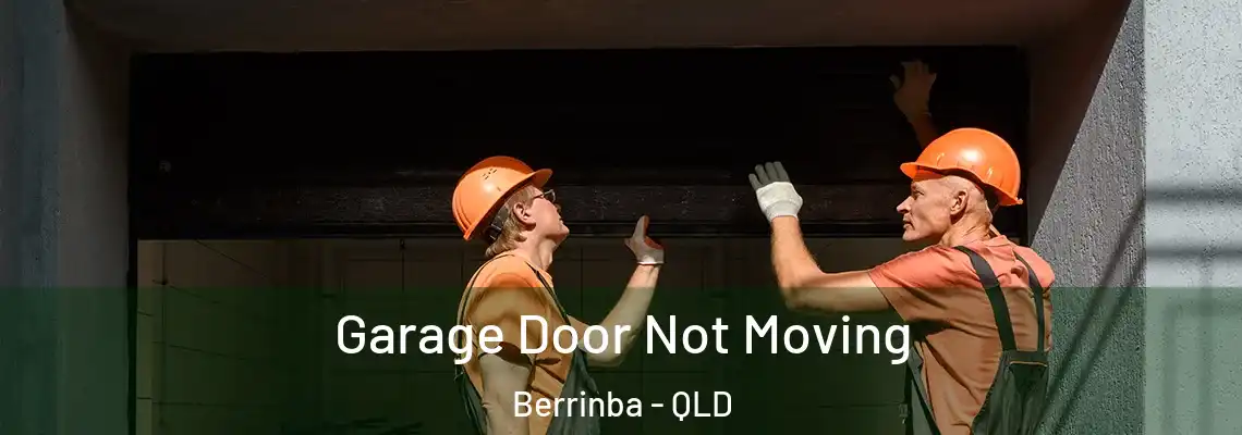Garage Door Not Moving Berrinba - QLD