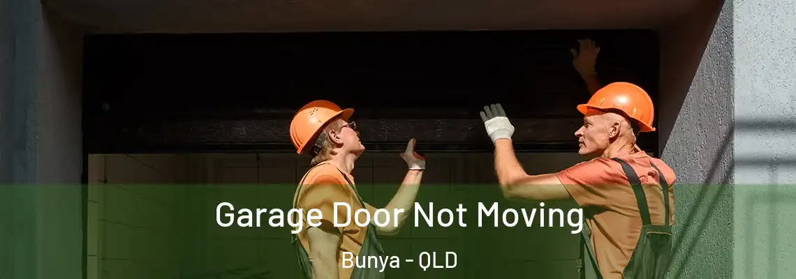 Garage Door Not Moving Bunya - QLD