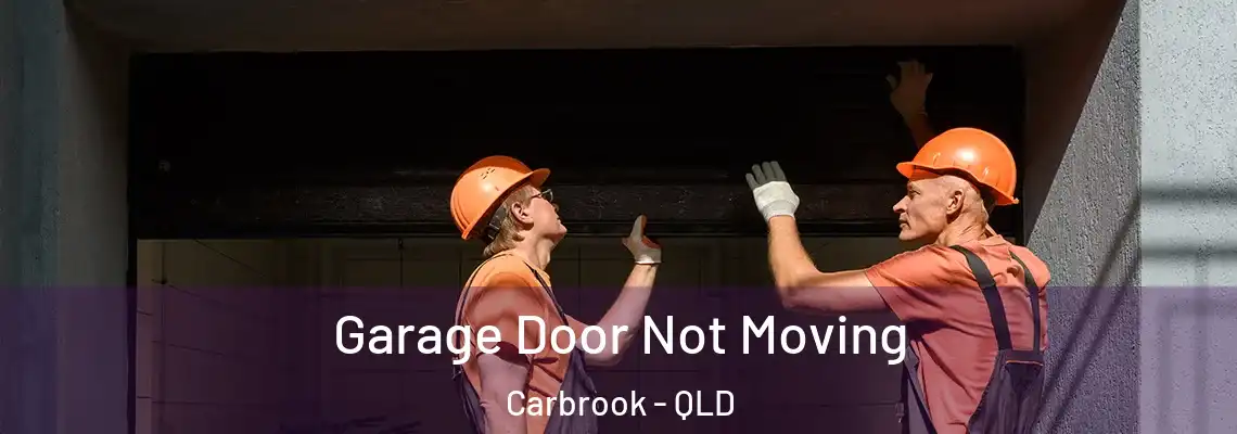  Garage Door Not Moving Carbrook - QLD