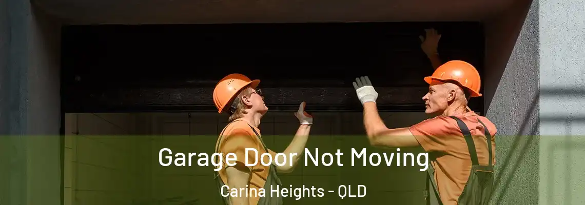 Garage Door Not Moving Carina Heights - QLD