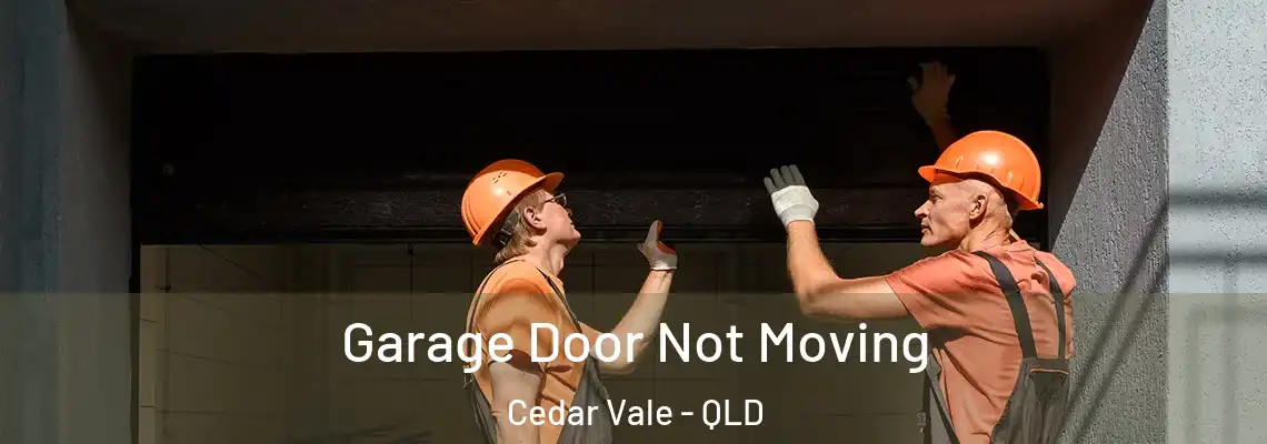 Garage Door Not Moving Cedar Vale - QLD