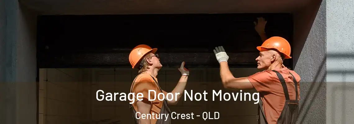Garage Door Not Moving Century Crest - QLD