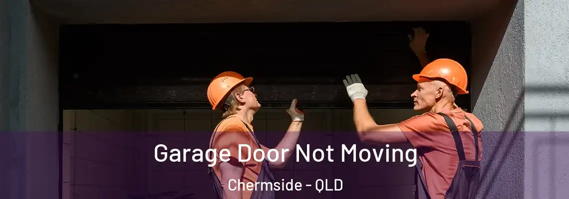 Garage Door Not Moving Chermside - QLD