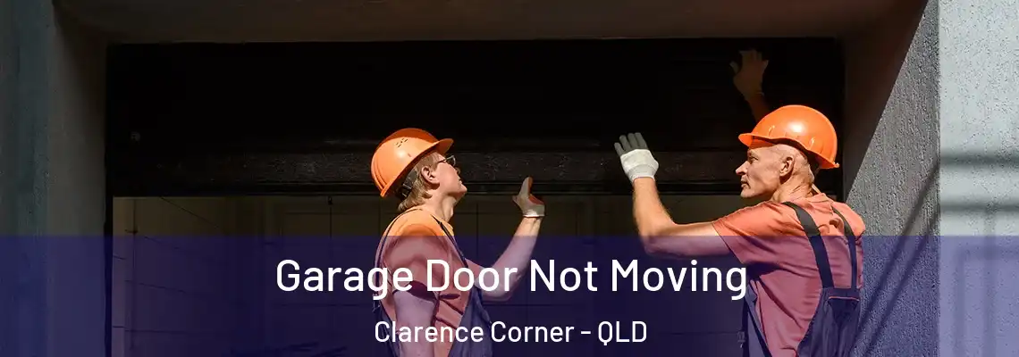 Garage Door Not Moving Clarence Corner - QLD