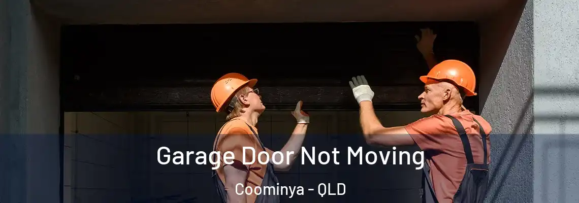 Garage Door Not Moving Coominya - QLD