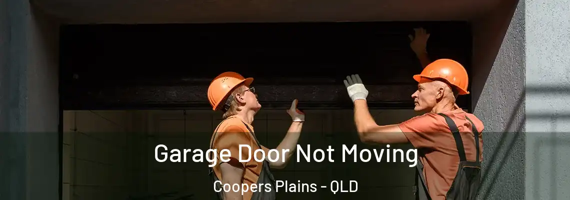 Garage Door Not Moving Coopers Plains - QLD