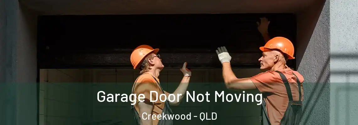 Garage Door Not Moving Creekwood - QLD
