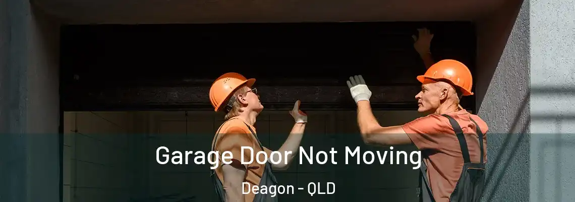  Garage Door Not Moving Deagon - QLD