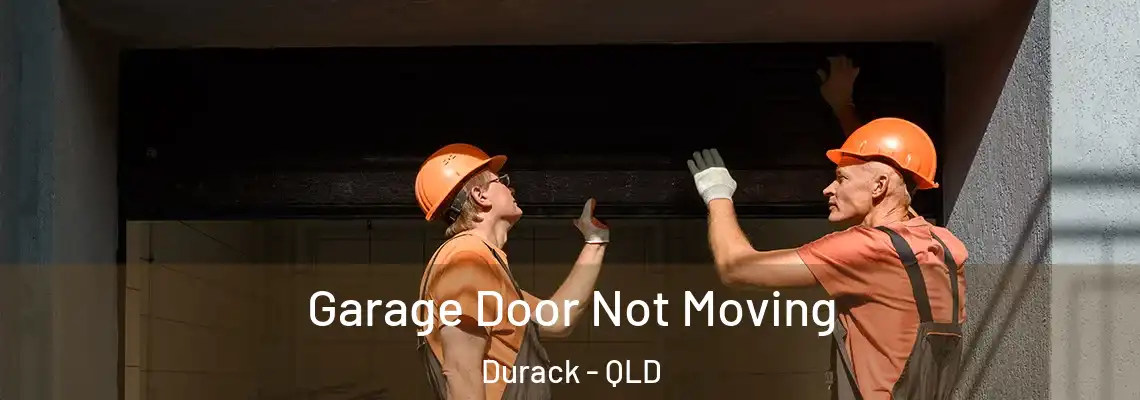 Garage Door Not Moving Durack - QLD