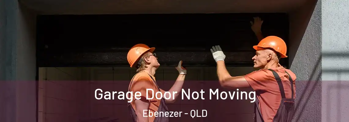 Garage Door Not Moving Ebenezer - QLD