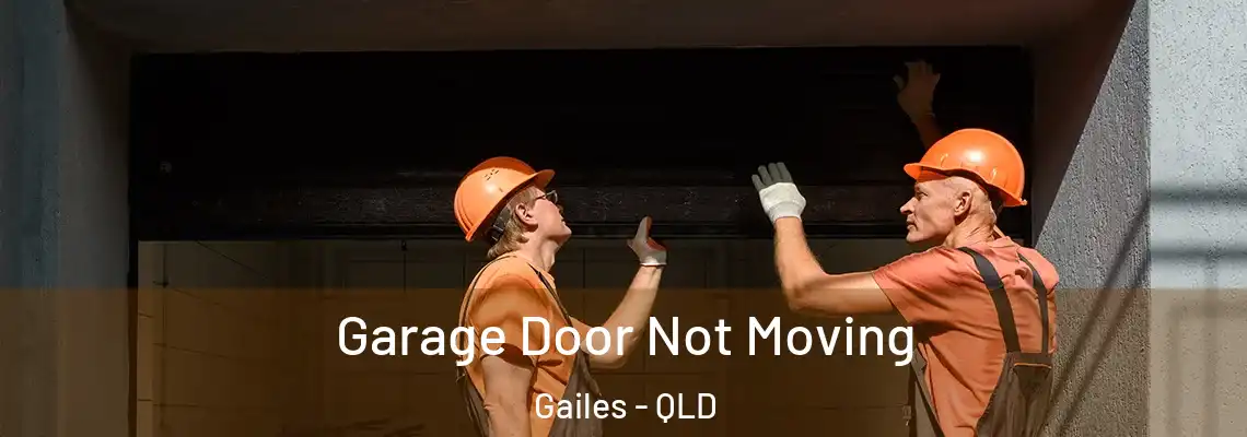  Garage Door Not Moving Gailes - QLD