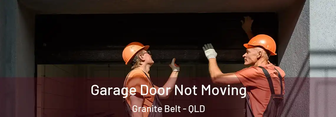 Garage Door Not Moving Granite Belt - QLD