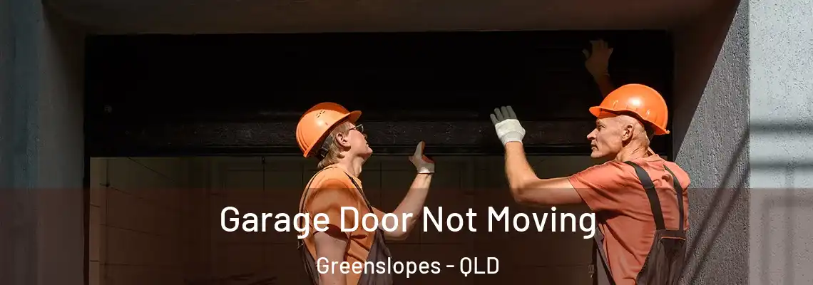  Garage Door Not Moving Greenslopes - QLD