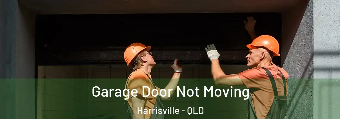 Garage Door Not Moving Harrisville - QLD