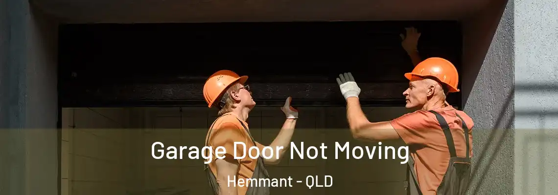 Garage Door Not Moving Hemmant - QLD