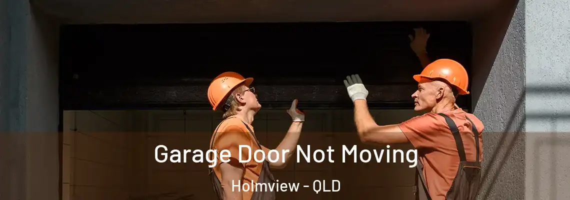 Garage Door Not Moving Holmview - QLD