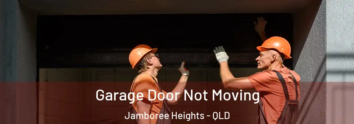 Garage Door Not Moving Jamboree Heights - QLD