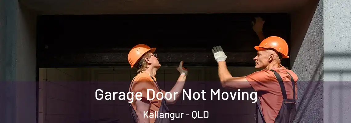  Garage Door Not Moving Kallangur - QLD