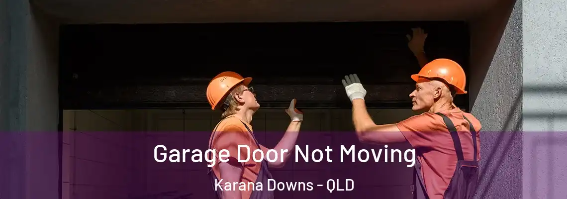 Garage Door Not Moving Karana Downs - QLD
