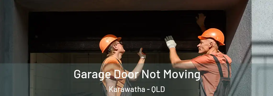  Garage Door Not Moving Karawatha - QLD