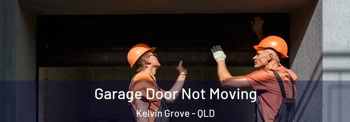Garage Door Not Moving Kelvin Grove - QLD