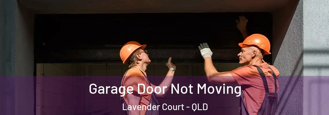 Garage Door Not Moving Lavender Court - QLD