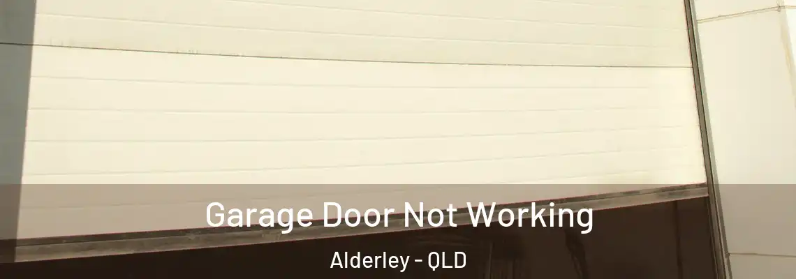  Garage Door Not Working Alderley - QLD