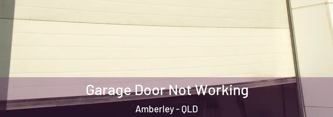 Garage Door Not Working Amberley - QLD