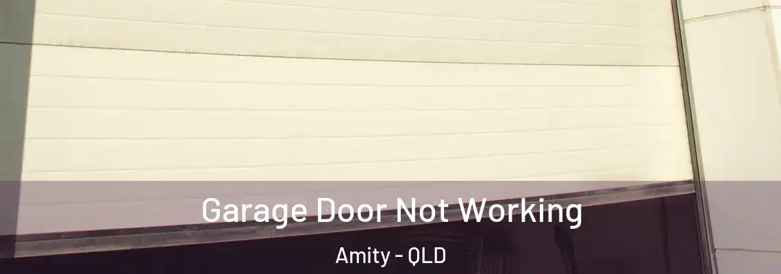 Garage Door Not Working Amity - QLD