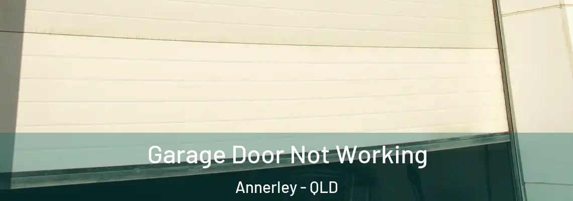 Garage Door Not Working Annerley - QLD