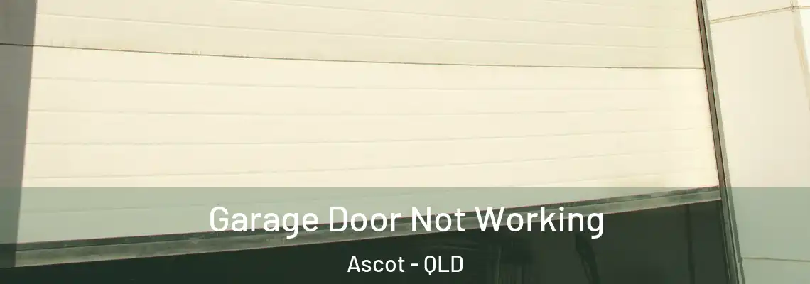  Garage Door Not Working Ascot - QLD