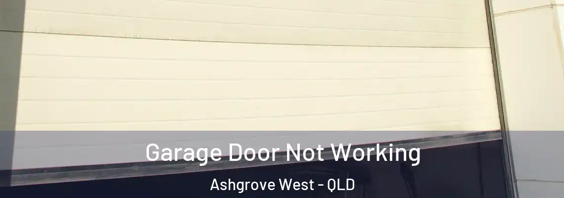 Garage Door Not Working Ashgrove West - QLD