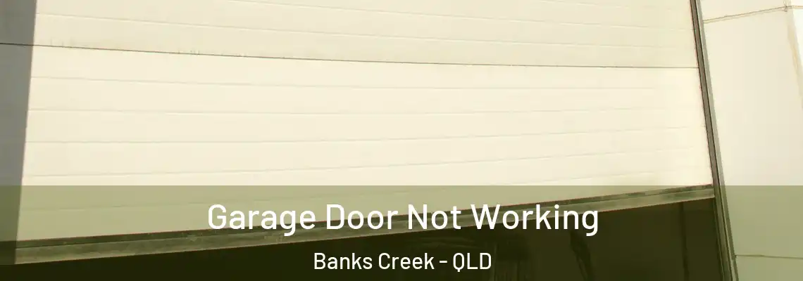 Garage Door Not Working Banks Creek - QLD