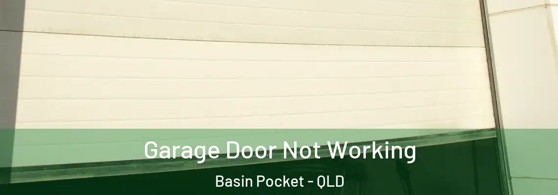 Garage Door Not Working Basin Pocket - QLD
