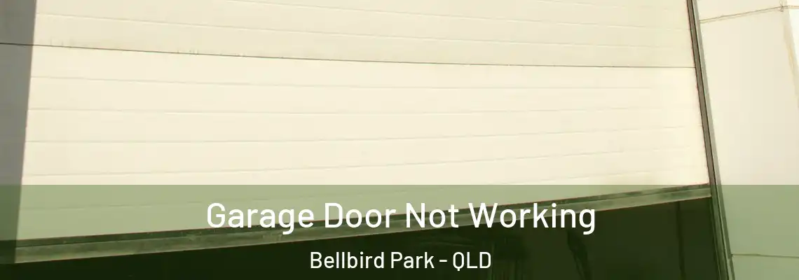  Garage Door Not Working Bellbird Park - QLD
