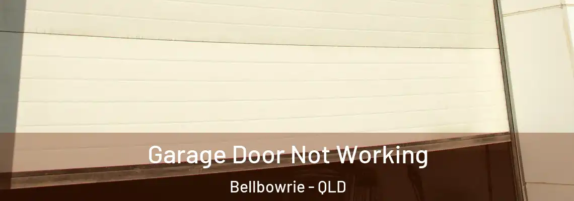 Garage Door Not Working Bellbowrie - QLD