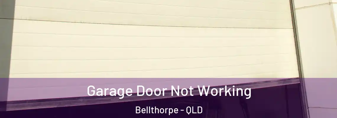 Garage Door Not Working Bellthorpe - QLD