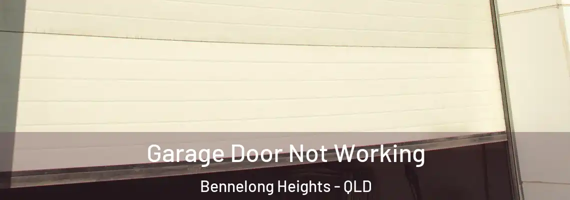 Garage Door Not Working Bennelong Heights - QLD
