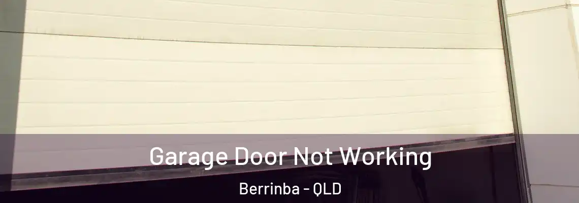 Garage Door Not Working Berrinba - QLD