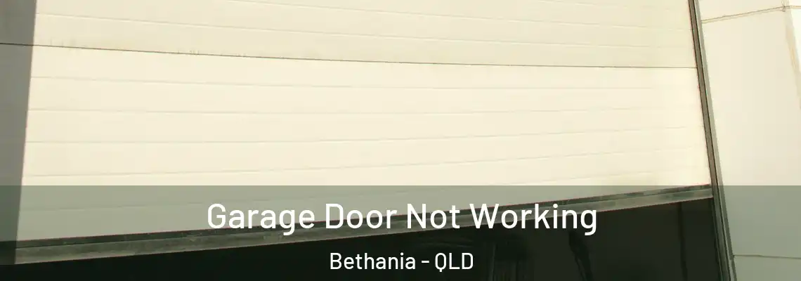  Garage Door Not Working Bethania - QLD