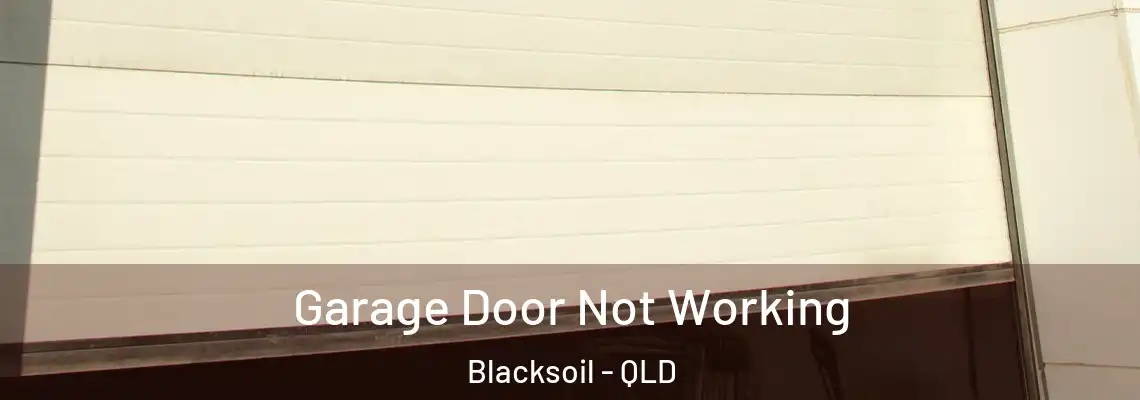 Garage Door Not Working Blacksoil - QLD