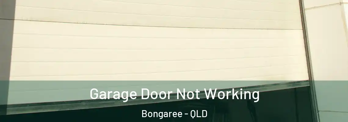 Garage Door Not Working Bongaree - QLD
