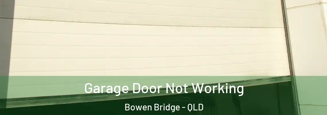 Garage Door Not Working Bowen Bridge - QLD