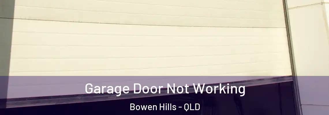  Garage Door Not Working Bowen Hills - QLD