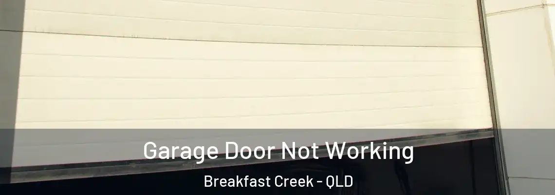 Garage Door Not Working Breakfast Creek - QLD